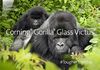 Samsung Galaxy S22 : de nouveaux écrans Gorilla Glass exclusifs