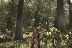 Gothic 4 Arcania - Image 30