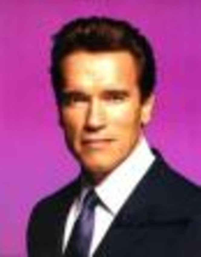 Gov. Arnold Schwarzenegger, R, CA