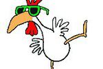 grippe aviaire