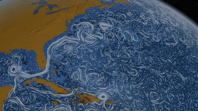 Gulf stream