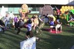 Harlem-Shake-Google