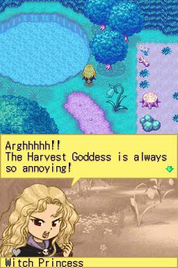 Harvest Moon DS.jpg (12)