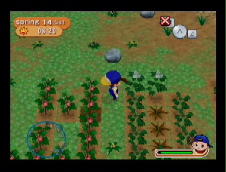 Harvest Moon Magical melody (13)