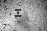 Les échantillons de l'astéroïde Ryugu dévoilent des secrets étonnants