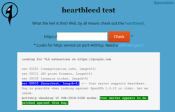 Heartbleed-test-2