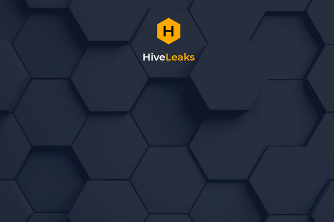 hive-ransomware-portail-groupe