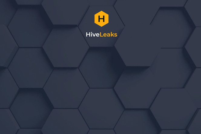 hive-ransomware-portail