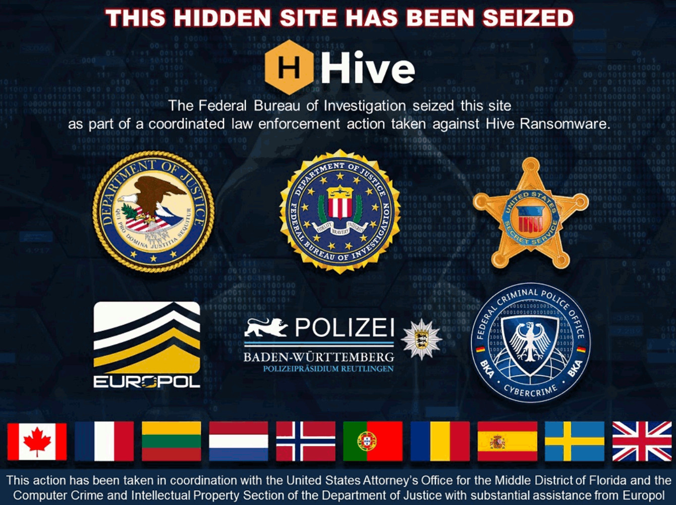 hive-ransomware-saisie-portail