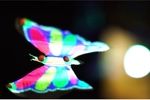Hologramme