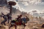 Horizon Zero Dawn - 16.