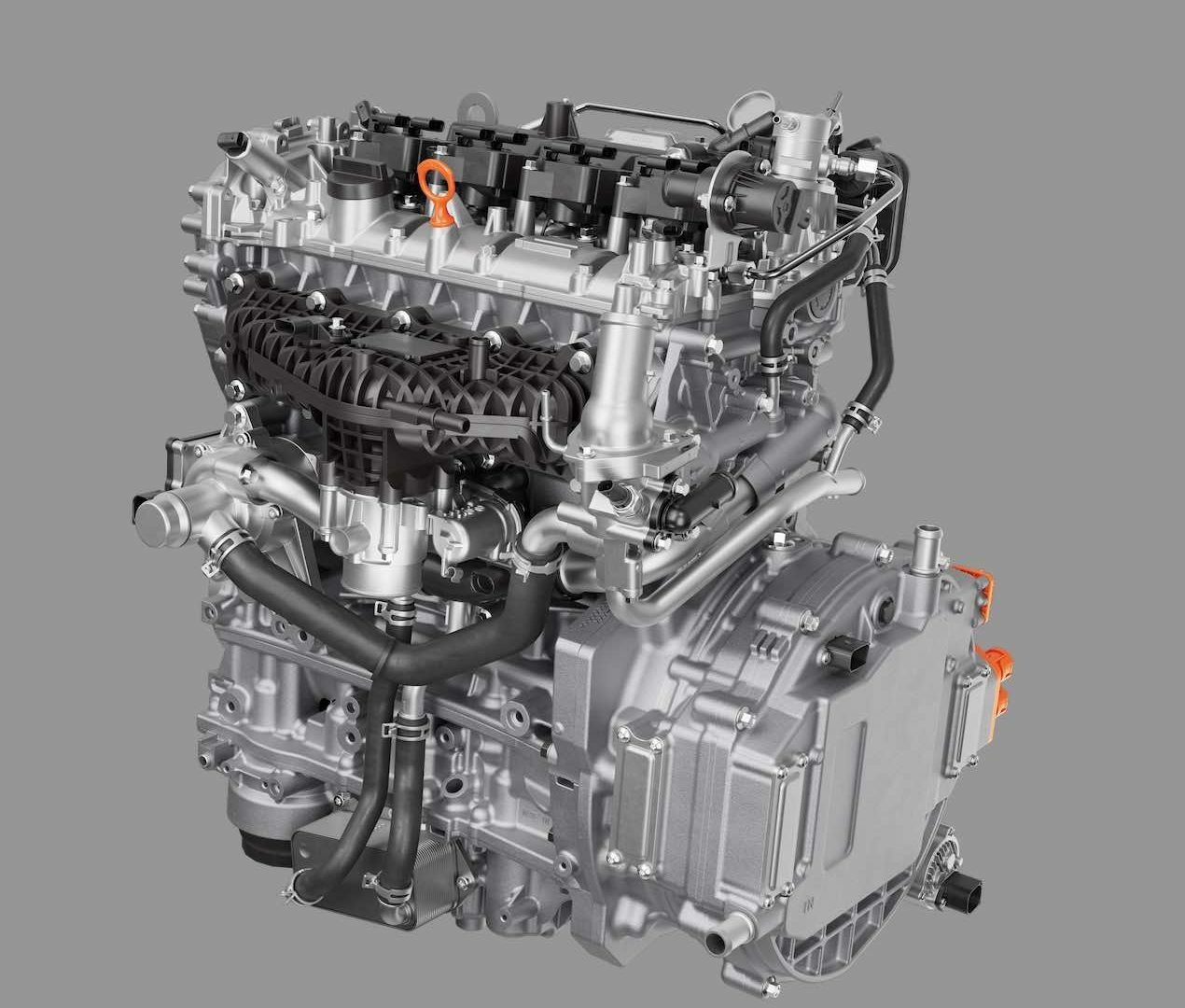 Horse D20 Methanol