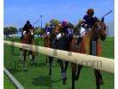 Horse racing manager 2 2 small