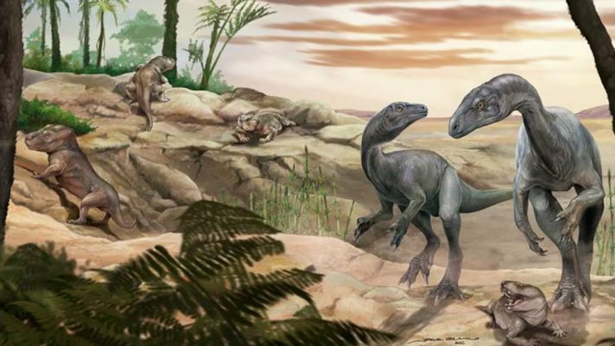 Huayracursor jaguensis