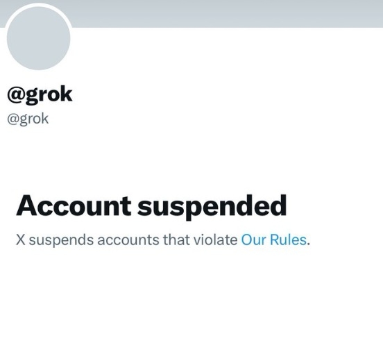 IA Grok compte suspendu