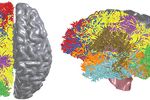 IBM cerveau