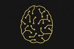 IBM-Watson