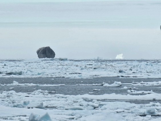 Iceberg-Noir-canada