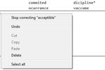 IE10-correcteur-orthographique