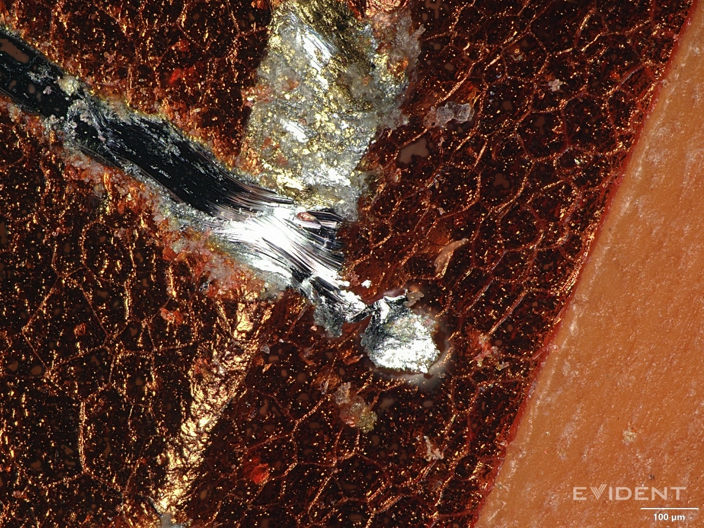 iFixit iPhone 17 microscope 02