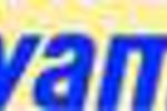 iiyama logo