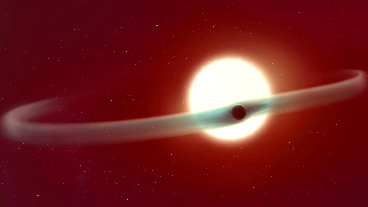 illustration-wasp-121b-double-queue-helium