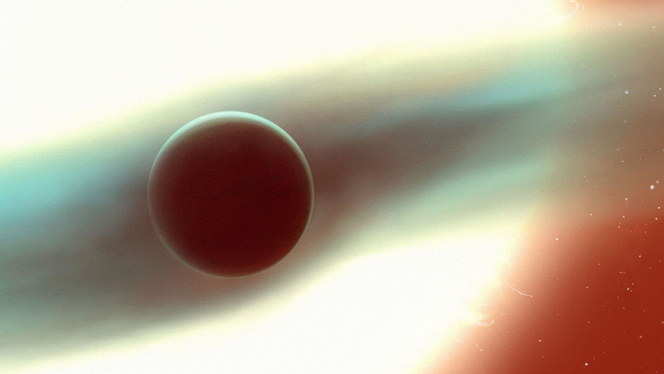 illustration-wasp-121b