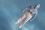 image 3D
