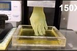 Imprimante 3D organes