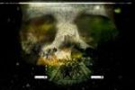 In Memoriam 2 : The Last Ritual (Small)