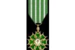 Insigne Chevalier des Arts et des Lettres (Small)