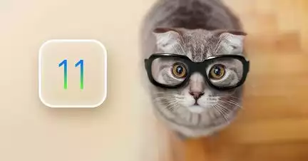 iOS_Kitten_2