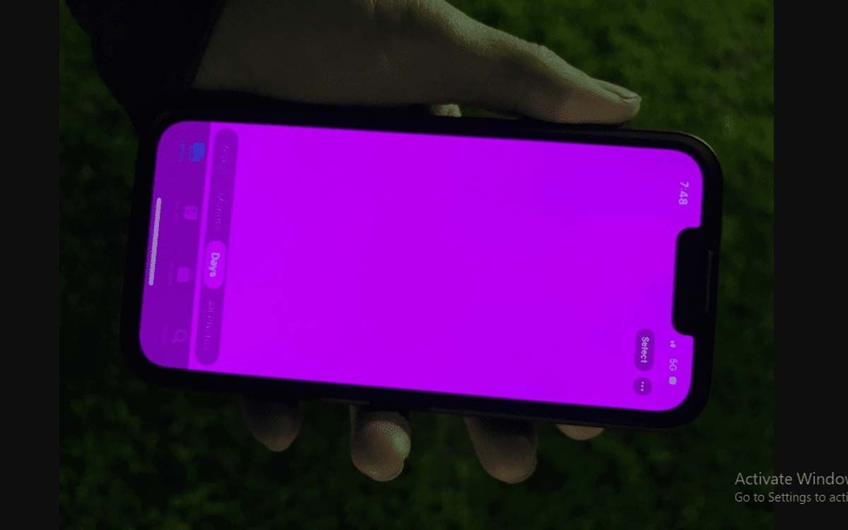 iPhone 13 écran rose