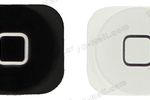 iPhone 5 bouton Home (1)