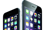 iPhone-6-iPhone-6-Plus