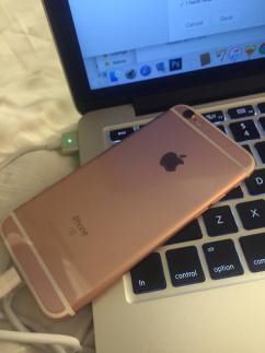 iPhone 6S or rose