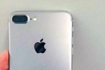 iPhone 7 Plus coque