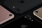 iPhone 7 Plus