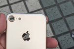 iPhone 7