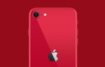 iPhone SE 2020 dos