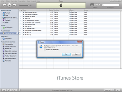 iTunes + iPod itunesinstall2