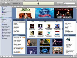 iTunes + iPod itunesinstall3