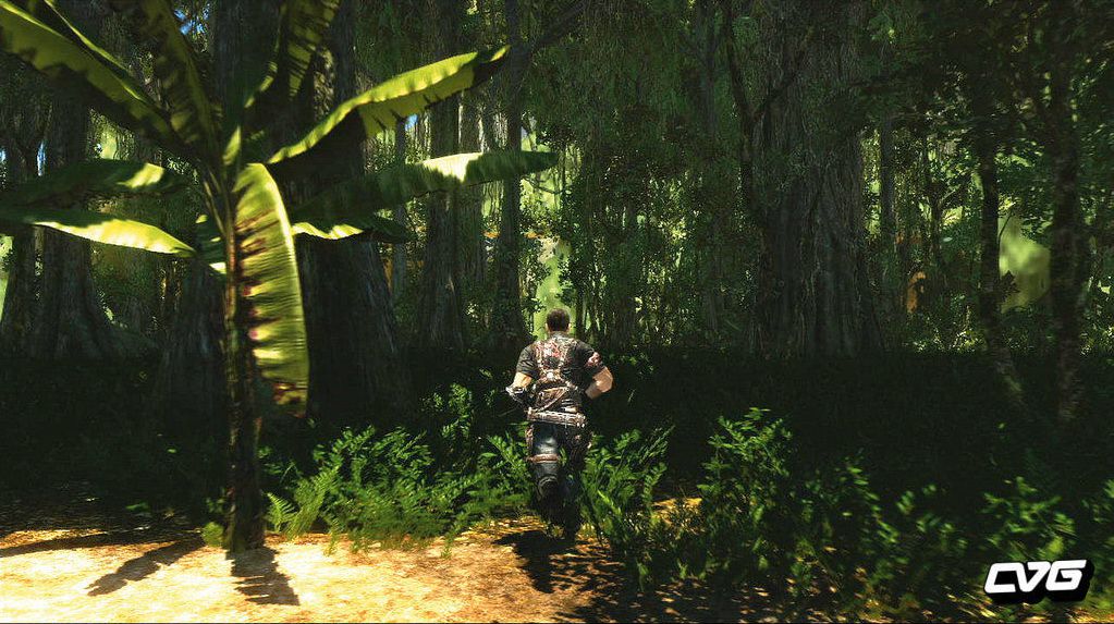 Just Cause 2   Image 1