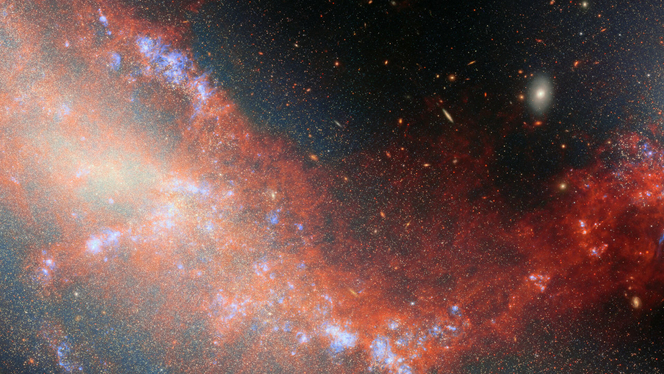 jwst-ngc-4490-ngc-4485