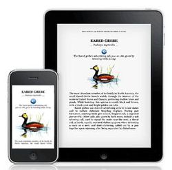 Kindle iPhone iPad