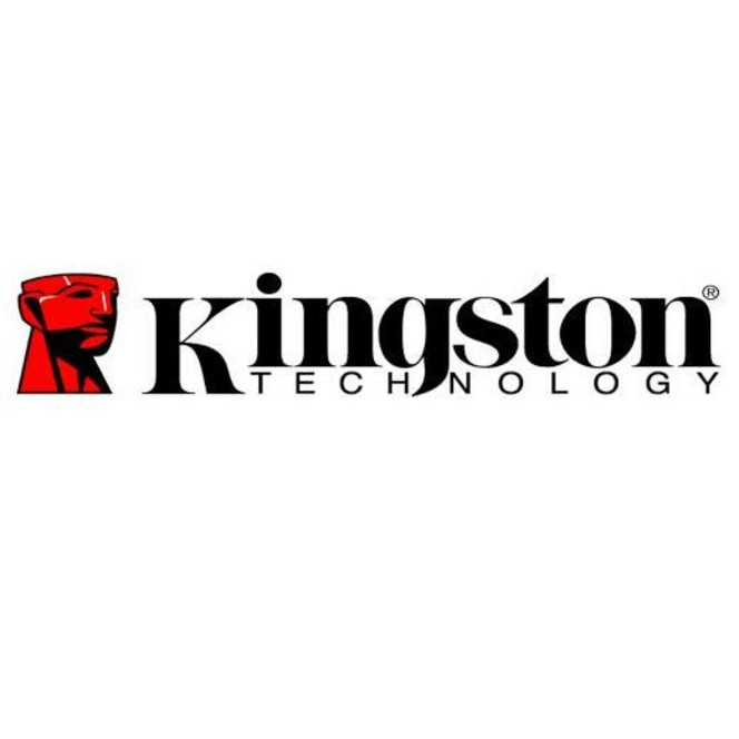 Kingston logo pro