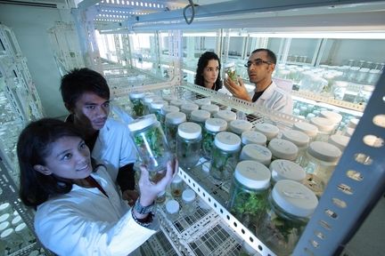 laboratoire-recherche-scientifique