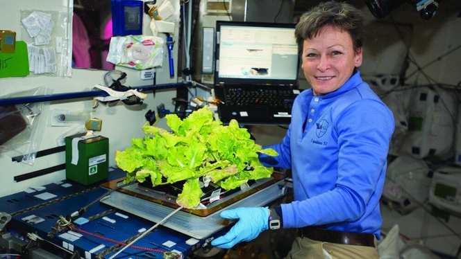 Laitue ISS