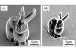 lapin imprimé 3D