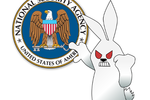 lapin-nsa